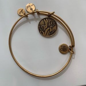 Alex and Ani Charm “Sister” Bangle